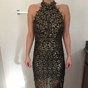 Bardot Gemma Halter Lace Sheath Dress